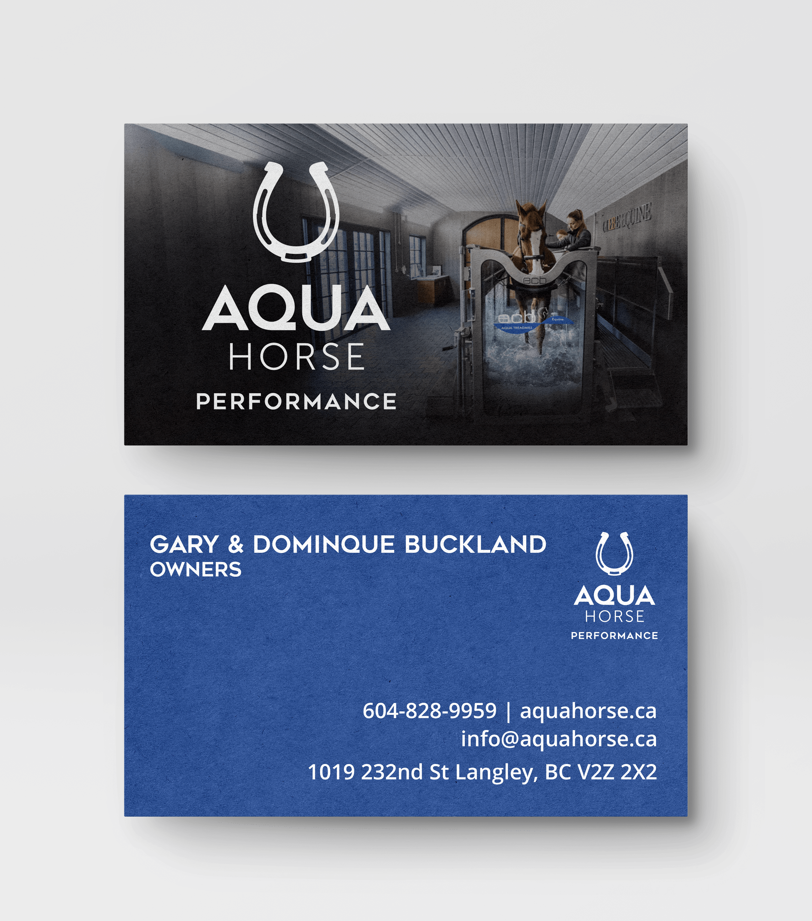 AquaHorse screenshot